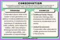 Identity, Influence, And Conservative Legacy