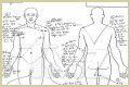 King Von Autopsy Report: Graphic Photos And Details