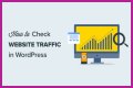 The Ultimate Guide To Check Website Traffic And Ranking